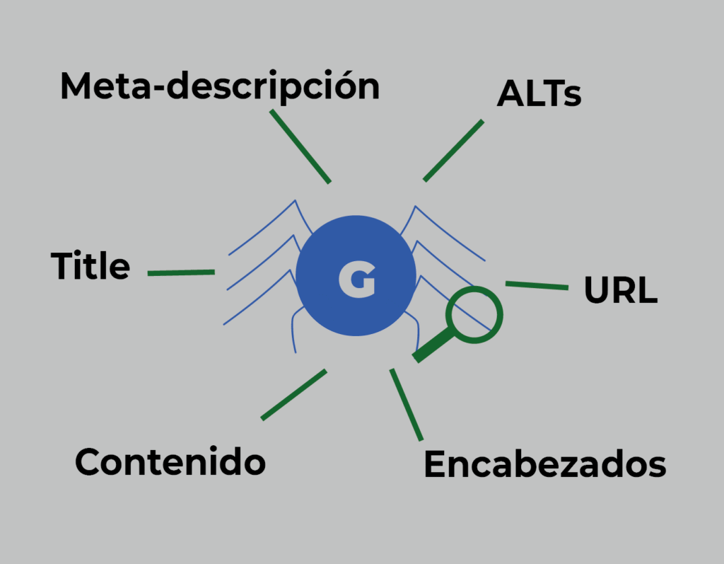 Básicos del SEO on-page