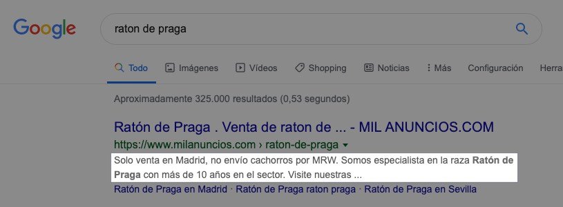 La meta-descripción en los resultados de búsquedas