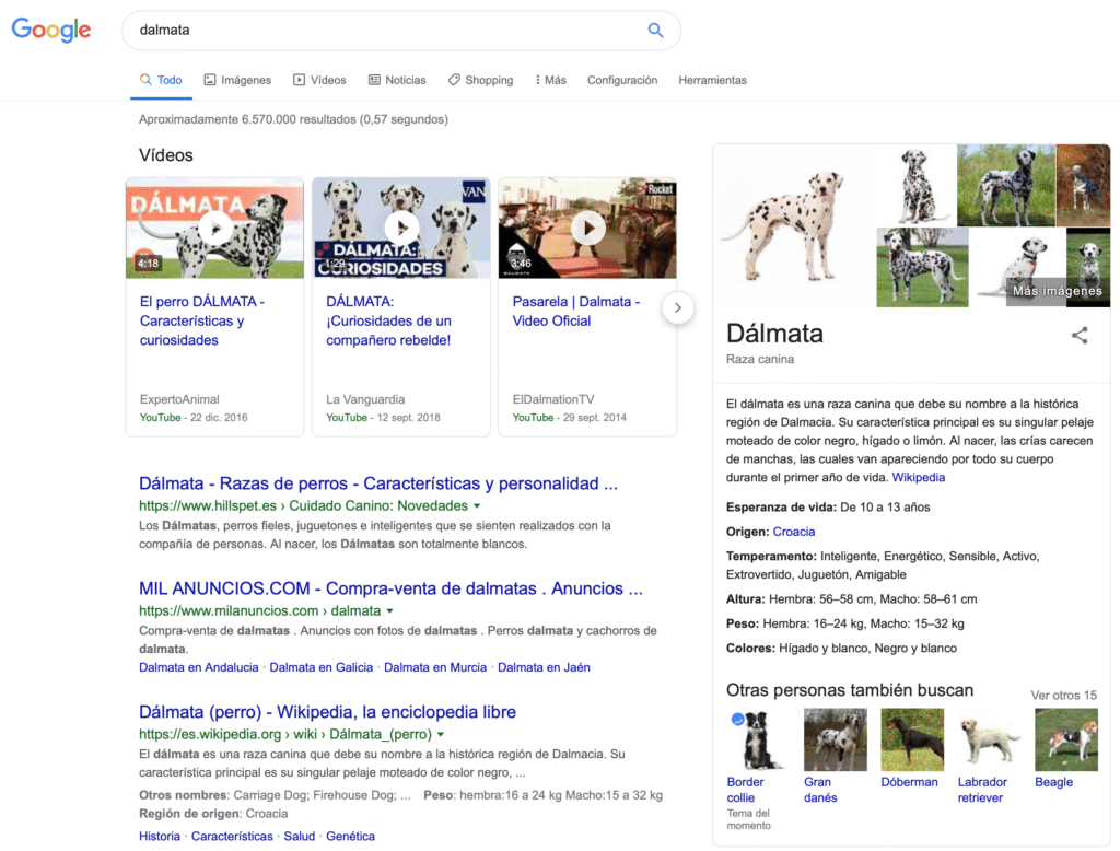 Resultados en Google para dálmata