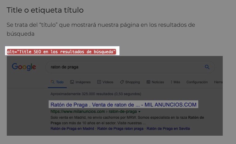 ALT de una imagen