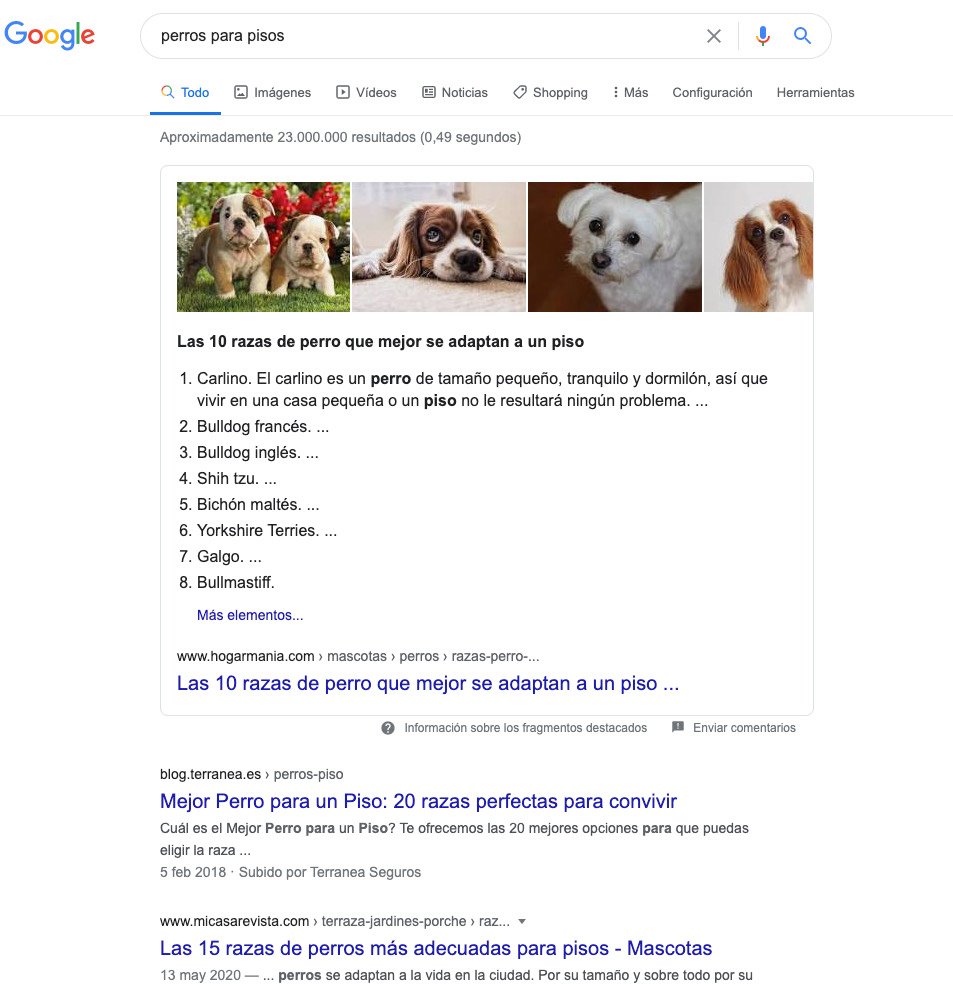 Hoja de resultados de Google para la palabra clave "perros para pisos"
